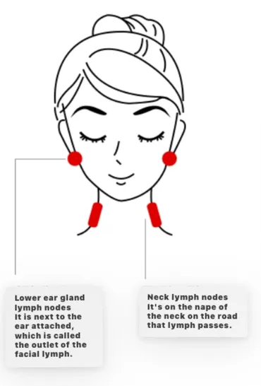 Lymphatic massage treatment visual 2